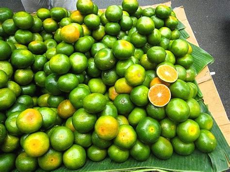 can orange grow in the philippines|Citrus Farms .